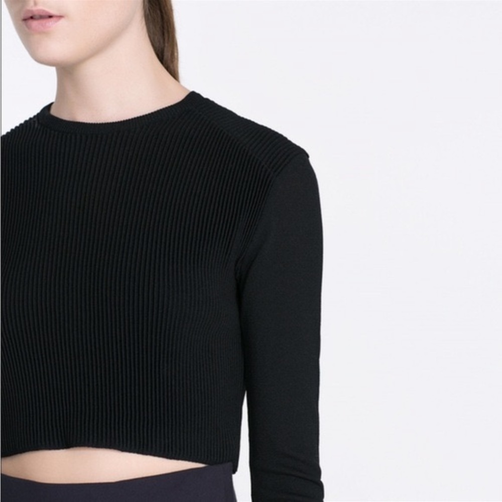 Zara Ribbed Crop Long Sleeve